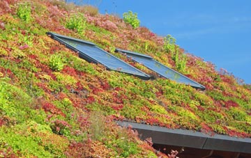 Cardeston living roof systems