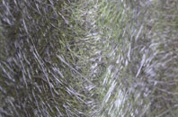 Cardeston fibreglass roof work